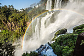 Argentina, Iguazu Falls,, Iguazu Falls National Park,