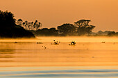 Südamerika, Brasilien, Mato Grosso, Das Pantanal, Rio Cuiaba. Nebel auf dem Rio Cuiaba in der Morgendämmerung.