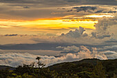 Costa Rica, Monte Verde Cloud Forest Reserve. Sunset landscape.