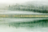 USA, Alaska, Tongass National Forest. Foggy shoreline and water reflection.