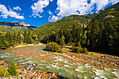 Der Animas River, San Juan National Forest, Colorado USA