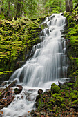 White Branch Falls, Oregon Cascades, Oregon
