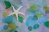 USA, Washington State, Seabeck. Starfish and beach glass close-up.
