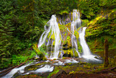 USA, Washington State, Gifford Pinchot National Forest. Panther Creek Falls along Panther Creek.