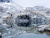 Washington State, Alpine Lakes Wilderness. Enchantment Lakes, reflection in Leprechaun Lake