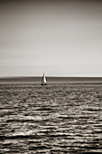 USA, Seattle, sailboat in Elliott Bay.