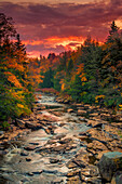 USA, West Virginia, Blackwater Falls State Park. Forest and stream in autumn.