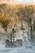 Boulders and trees in steaming Yellowstone River at sunrise, Yellowstone National Park, Wyoming/Montana.