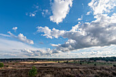 Wolken ziehen über die Lüneburger Heide hinweg, Bispingen, Niedersachsen, Deutschland