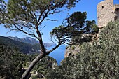 Torre des Verger, Banyalbufar, Serra de Tramuntana, Mallorca, Balearen, Spanien