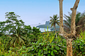 Aussichtspunkt Miradouro Terreiro Velho mit Blick auf die Insel Boné do Jóquei auf der Insel Príncipe in Westafrika, Sao Tomé e Príncipe
