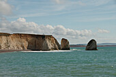 Kreidefelsen an der Küste der Isle of Wight bei Freshwater Bay, Südengland, England, Großbritannien, Europa