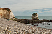 Kreidefelsen an der Küste der Isle of Wight bei Freshwater Bay während der Ebbe, Südengland, England, Großbritannien, Europa