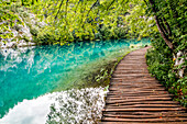Kroatien. Zentral Kroatien. Nationalpark Plitvicer Seen. Gehweg entlang des Wassers im Nationalpark Plitvicer Seen.
