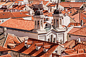 Croatia. Dalmatia. Dubrovnik. Church among red terra cotta tile roofs in the old town of Dubrovnik.