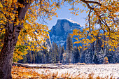 Cooks Wiese. Erster Schnee im Herbst im Yosemite National Park, Kalifornien, USA.