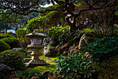 A peaceful garden with Pagoda and old tree