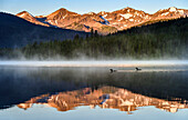 Canada, British Columbia. South Chilcotin Mountains Provincial Park, Spruce Lake sunrise reflections and Common loons.