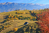 Romania, Transylvania, Carpathian Mountains, Magura, Piatra Craiului National Park.