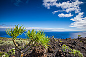 Spanien, Kanarische Inseln, Insel La Palma, Fuencaliente de la Palma, Punta de Fuencaliente, Vulkanlandschaft und Blick auf die Insel La Gomera