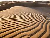 The sand dunes of Pismo Beach, California