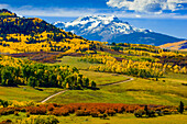 USA, Colorado, Herbstfarben, Vista
