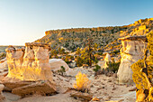 USA, New Mexico, Ojito Wilderness. Eroded desert rocks.