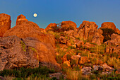 USA, New Mexico, City of Rocks State Park. Full moon sets over granite boulders lit by sunrise.