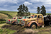 Reihe von bunten alten Lastwagen, Region Palouse im Osten Washingtons.