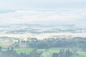 Looking south from the Auerberg on a foggy early autumn morning, Bavaria, Germany, Europe
