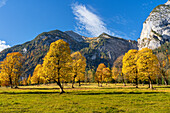Der Große Ahornboden an einem goldenen Herbstmorgen, Karwendel, Großer Ahornboden, Karwendel, Tirol, Österreich