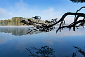 Nebliger Frühherbstmorgen am großen Ostersee, Bayern, Deutschland, Europa\n