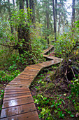 Combers Beach Trail, Pacific Rim National Park, Tofino, Vancouver Island, British Columbia, Kanada