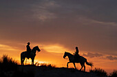 Europa, Frankreich, Provence. Silhouette von Camargue-Pferden mit Wächterreitern bei Sonnenaufgang.