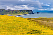 Dyrholaey Park green cliffs, Reynisfjara black sand beach, South Shore, Iceland.