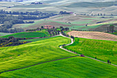 Europe, Italy, Tuscany, Val d'Orcia. Farm landscape