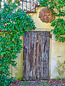 Europe, Italy, Chianti. Old wooden door beneath a stairway with climbing vines and pottery art work.