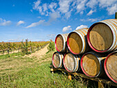 Italien, Toskana. Weinfässer in einem Weinberg in der Toskana.