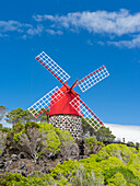 Traditionelle Windmühle in der Nähe von Sao Joao. Pico Island, eine Insel der Azoren im Atlantischen Ozean. Die Azoren sind eine autonome Region Portugals.
