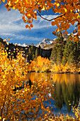 USA, Kalifornien. Herbstfärbung im Bishop Creek Canyon