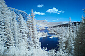 USA, California, Mammoth Lakes. Infrared overview of Twin Lakes