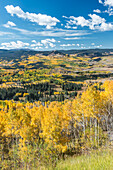 Usa, Colorado, Routt National Forest, Autumn Color in the Flat Tops Wilderness
