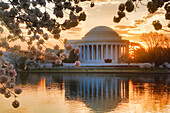 USA, District of Columbia, Washington, Jefferson Memorial mit Kirschblüten bei Sonnenaufgang