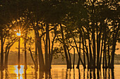 USA, Louisiana. Sonnenaufgang am Millers Lake