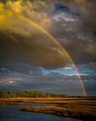 USA, New Jersey, Pinelands National Reserve. Rainbow over marsh.