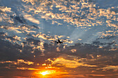 Usa, Oregon, Portland. Airplane landing at sunset