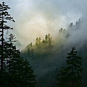 Bergwolken am neu entdeckten Gap, Smoky Mountains National Park, Tennessee, USA