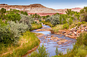 Red White Sandstone Mountain Fremont River Capitol Reef National Park Torrey
