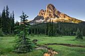 Liberty Bell Mountain reflected in still waters of State Creek, in meadows of, Washington Pass. North Cascades, Washington State