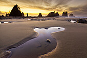 USA, Washington State, Olympic National Park. Sunrise on coast beach and rocks